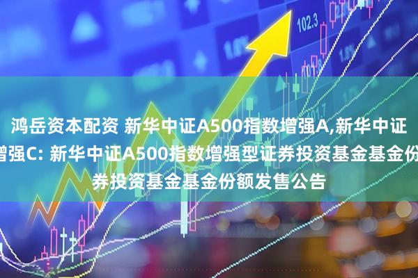 鸿岳资本配资 新华中证A500指数增强A,新华中证A500指数增强C: 新华中证A500指数增强型证券投资基金基金份额发售公告
