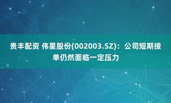 贵丰配资 伟星股份(002003.SZ)：公司短期接单仍然面临一定压力