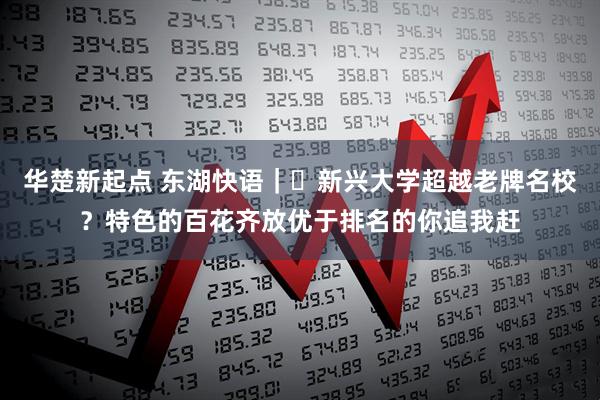 华楚新起点 东湖快语｜​新兴大学超越老牌名校？特色的百花齐放优于排名的你追我赶