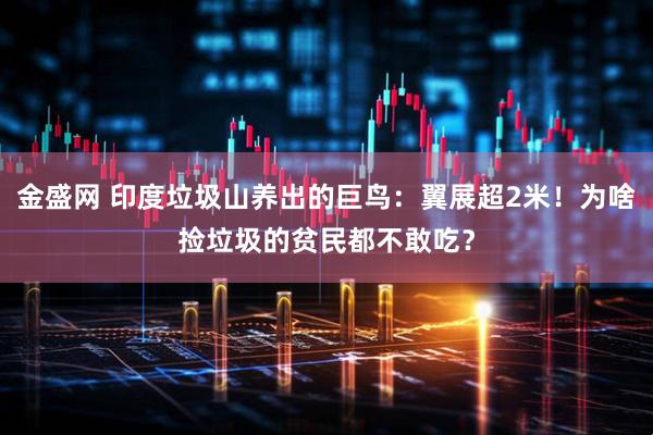 金盛网 印度垃圾山养出的巨鸟：翼展超2米！为啥捡垃圾的贫民都不敢吃？