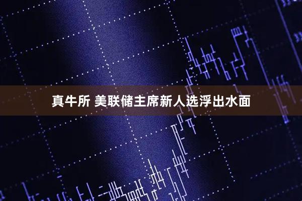 真牛所 美联储主席新人选浮出水面