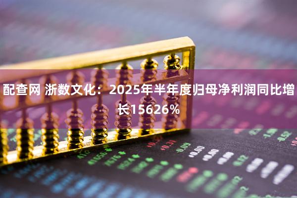 配查网 浙数文化:2025年半年度归母净利润同比增长15626%